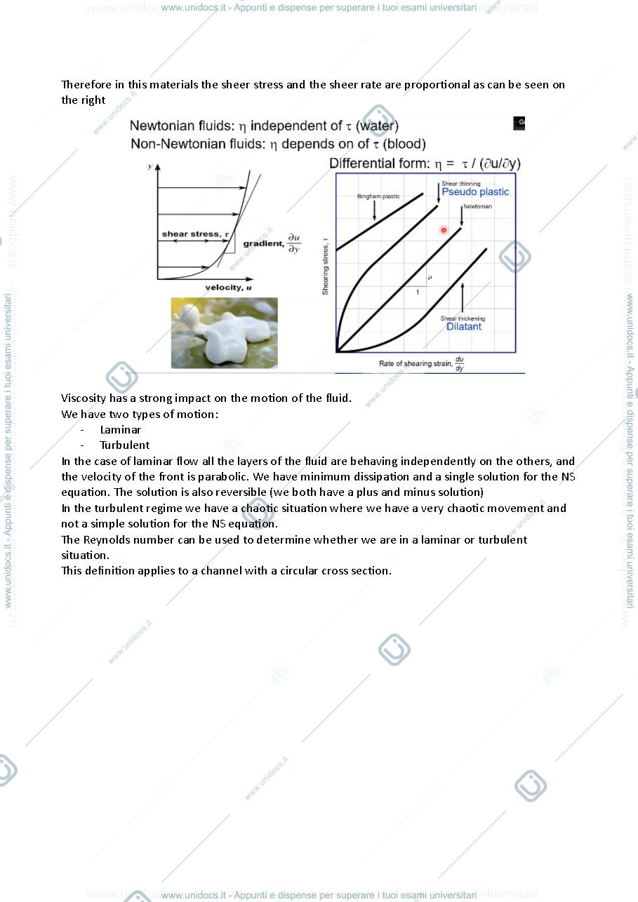 Anteprima pagina 4 — appunti biochip