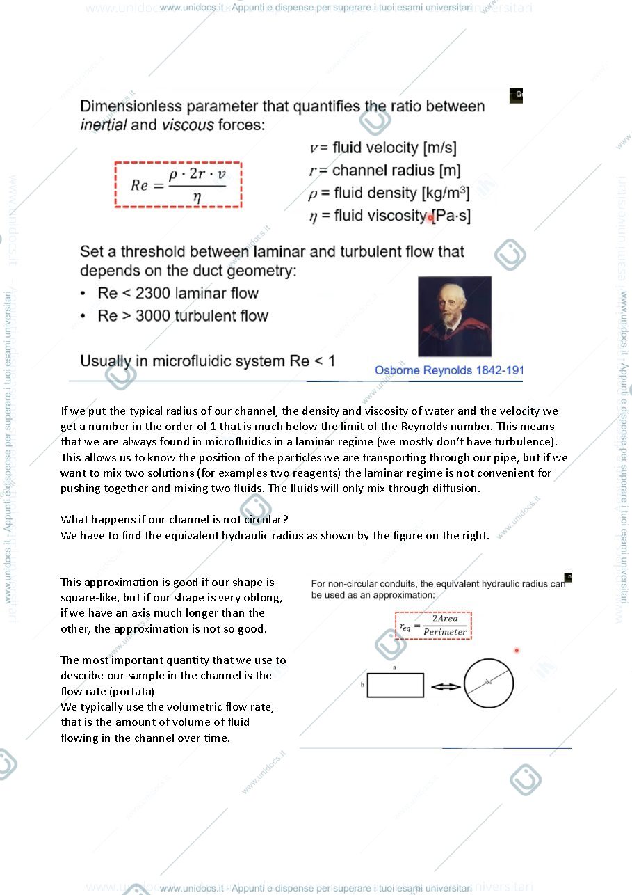 Anteprima pagina 5 — appunti biochip