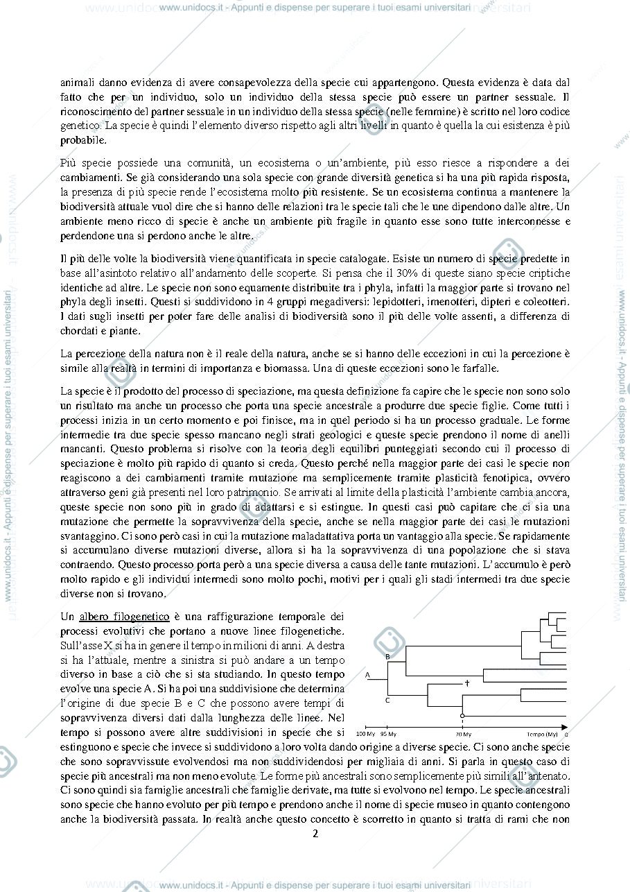 Anteprima pagina 2 — B029604 (B232) - MODULO: BIODIVERSITA' ANIMALE 2023-2024 (I° ANNO)
