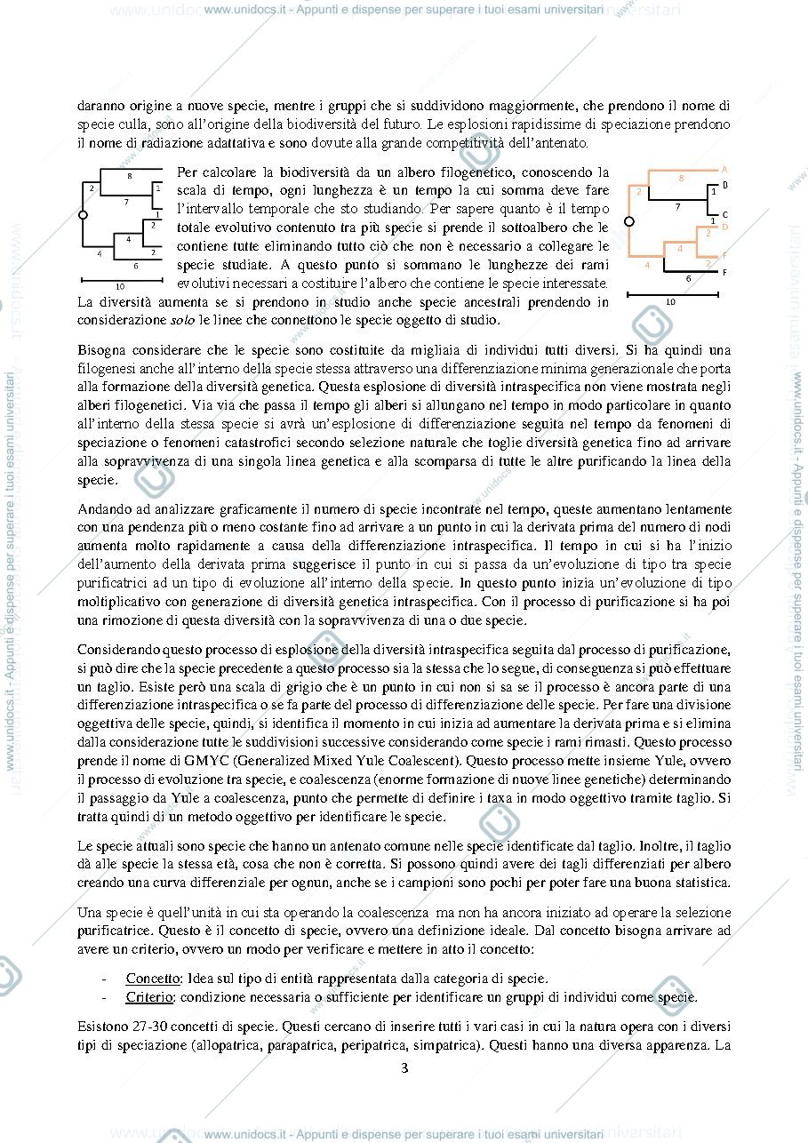 Anteprima pagina 3 — B029604 (B232) - MODULO: BIODIVERSITA' ANIMALE 2023-2024 (I° ANNO)