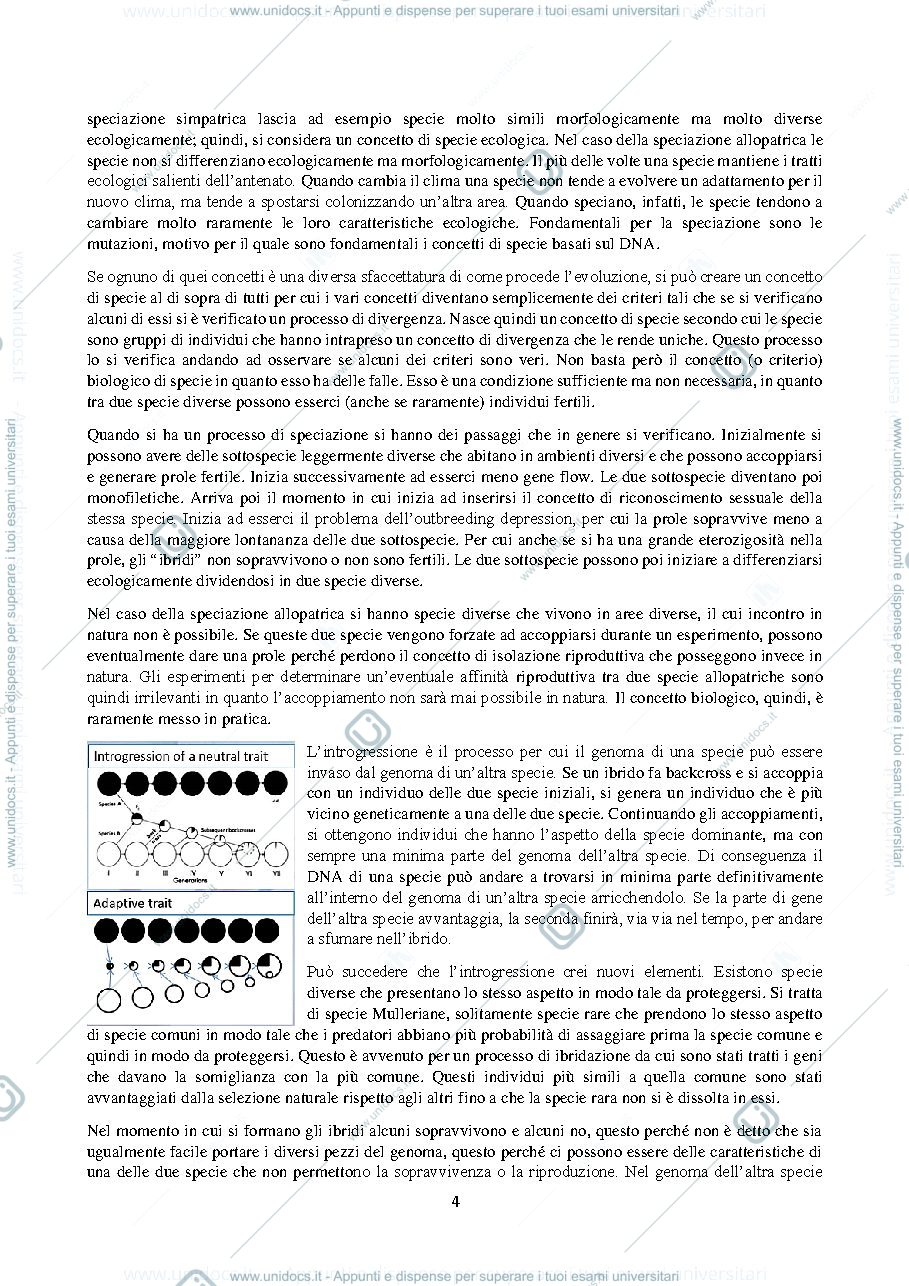 Anteprima pagina 4 — B029604 (B232) - MODULO: BIODIVERSITA' ANIMALE 2023-2024 (I° ANNO)