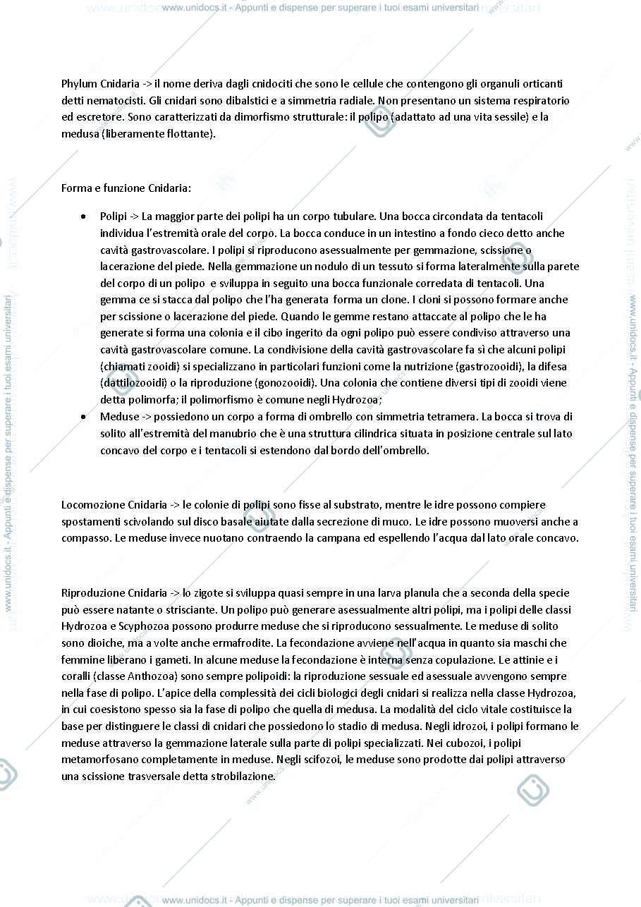 Anteprima pagina 1 — Cnidaria