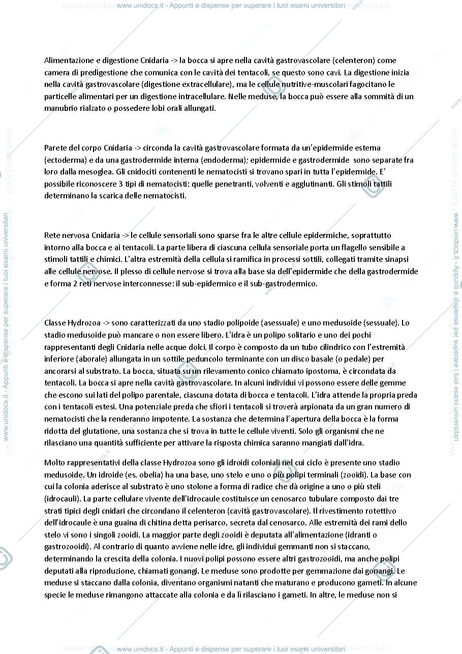 Anteprima pagina 2 — Cnidaria