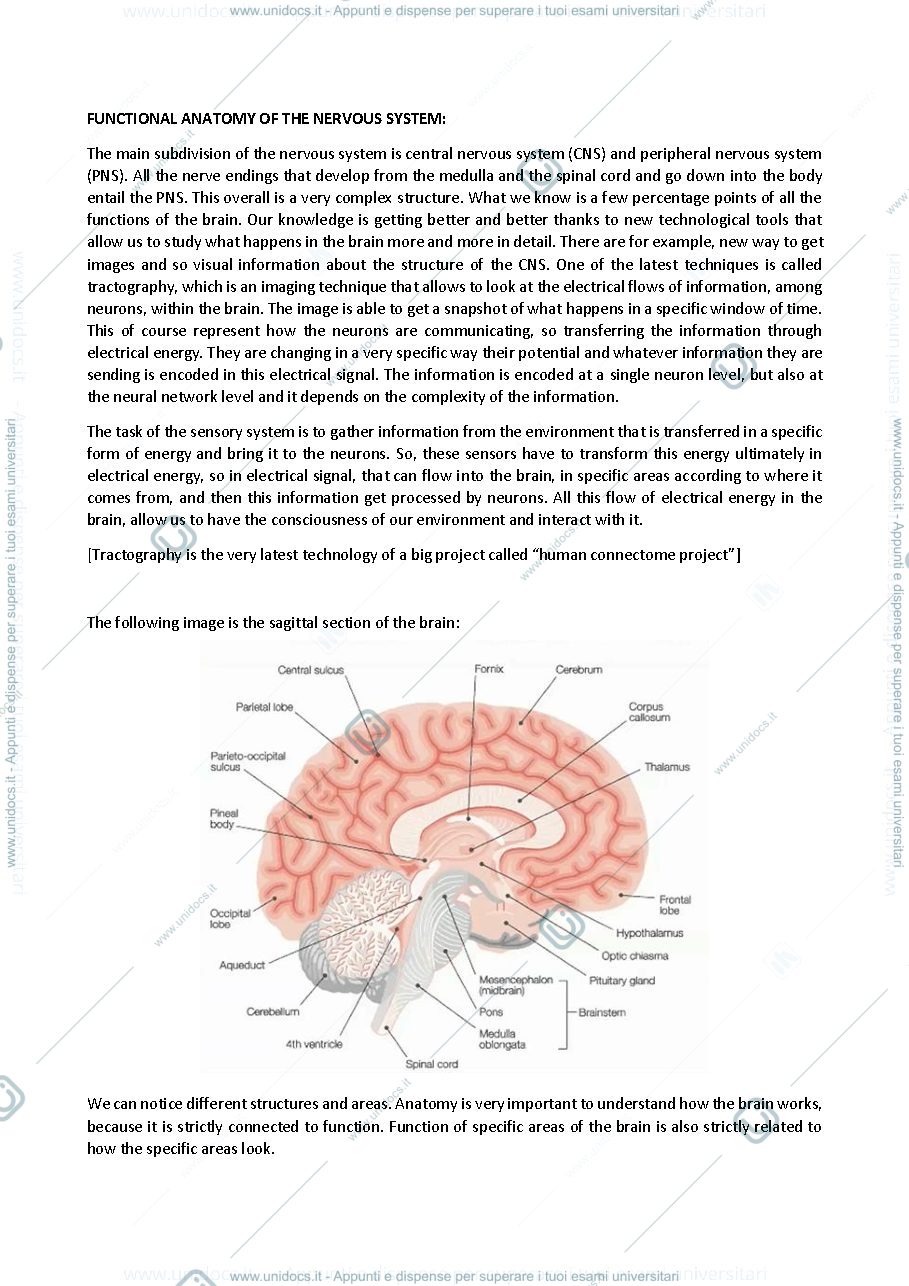 Anteprima pagina 5 — appunti Bioengineering of neurosensory system