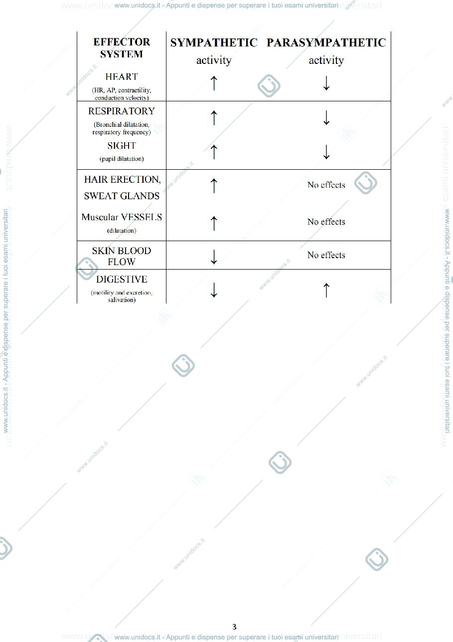 Anteprima pagina 3 — appunti totali