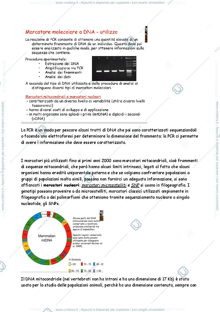 Anteprima pagina 2 — FILOGEOGRAFIA