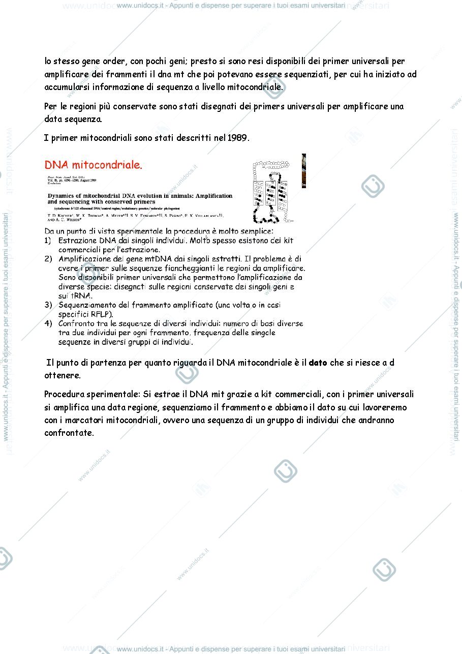 Anteprima pagina 3 — FILOGEOGRAFIA