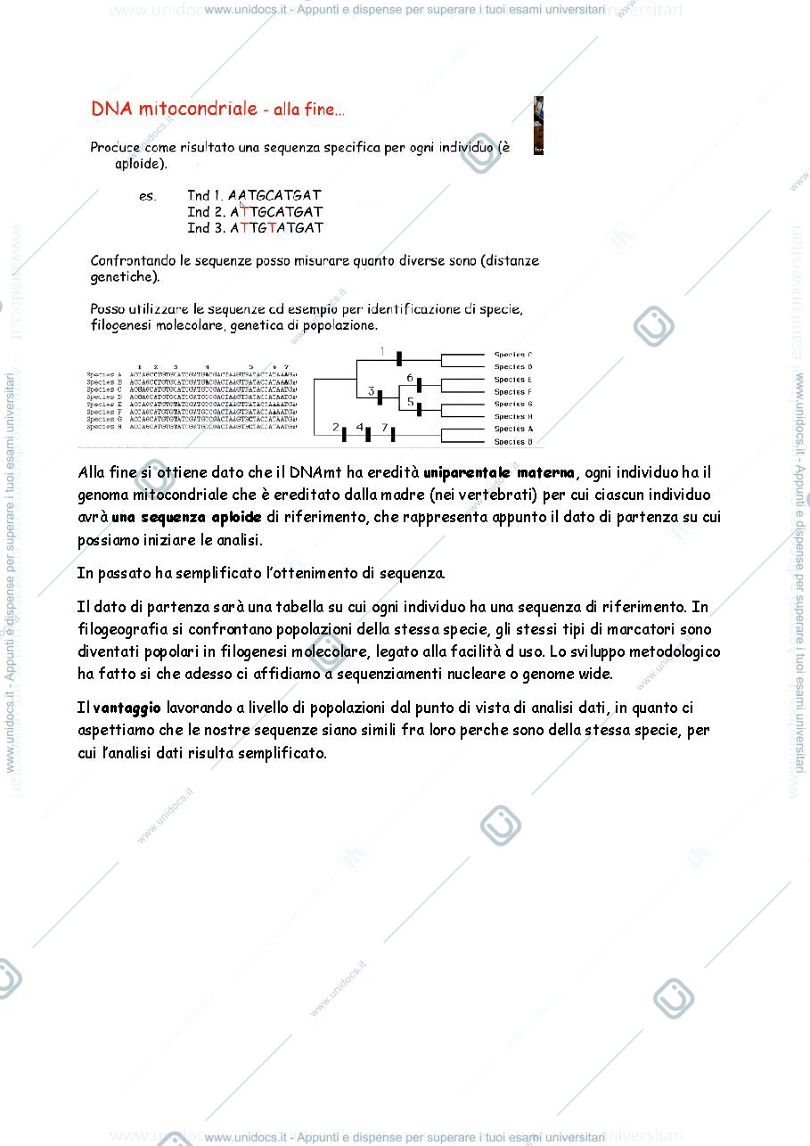 Anteprima pagina 4 — FILOGEOGRAFIA