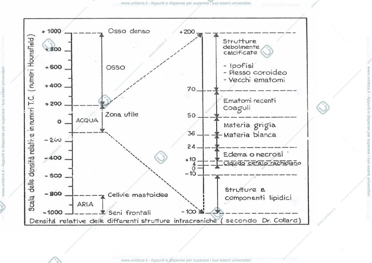 Anteprima pagina 3 — Tomografia Assiale Computerizzata TAC