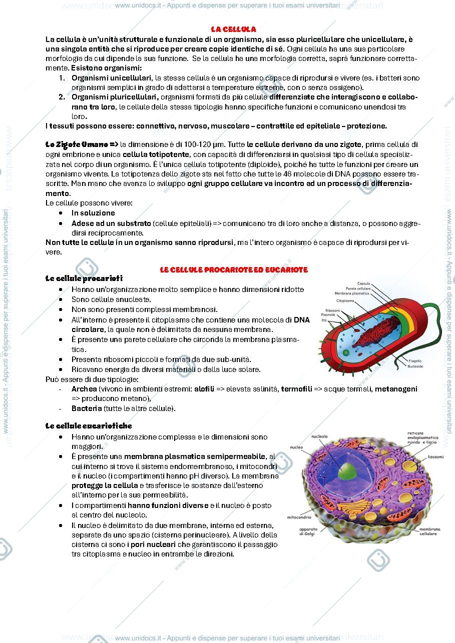Anteprima pagina 1 — Biologia Cellulare