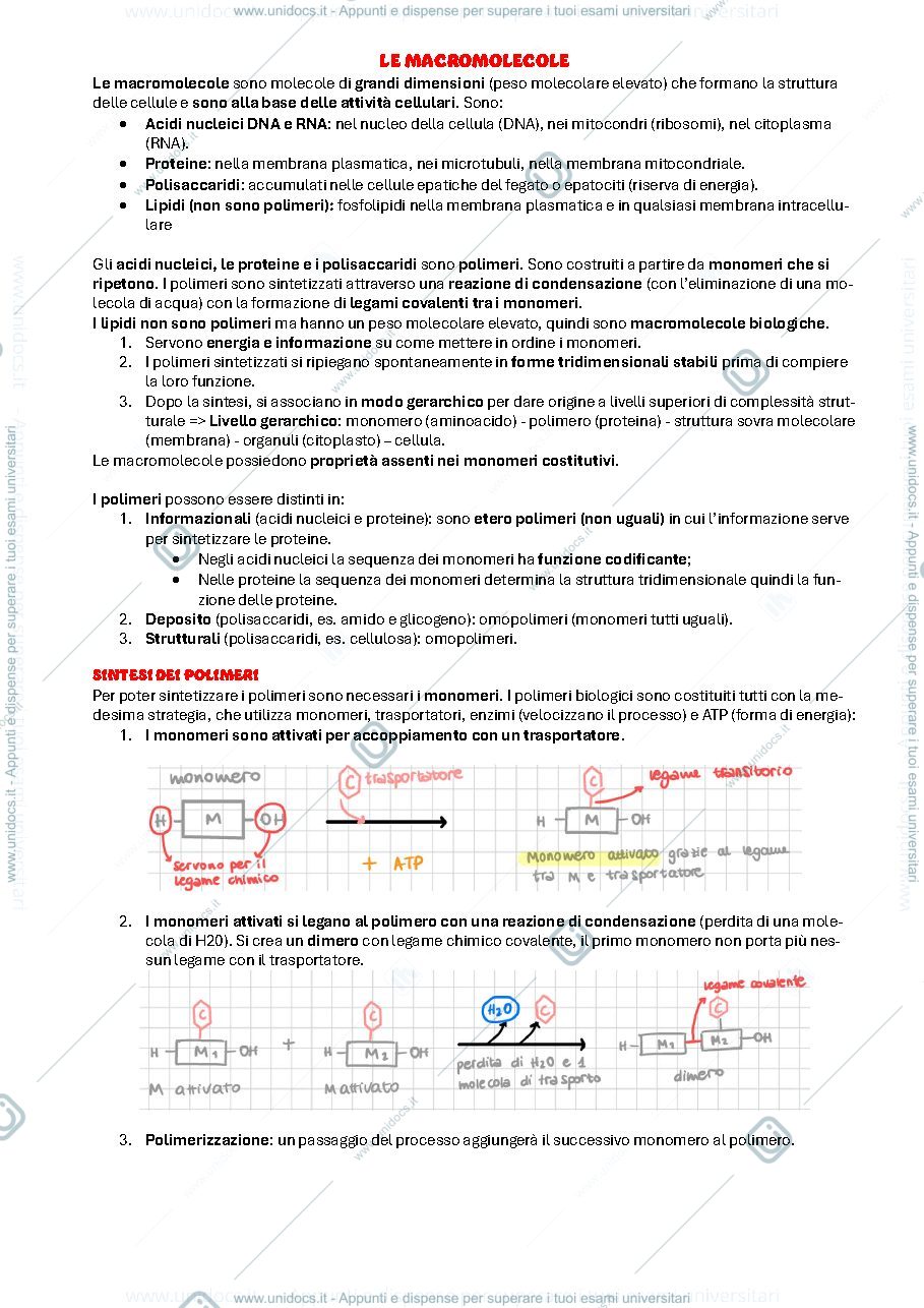 Anteprima pagina 3 — Biologia Cellulare
