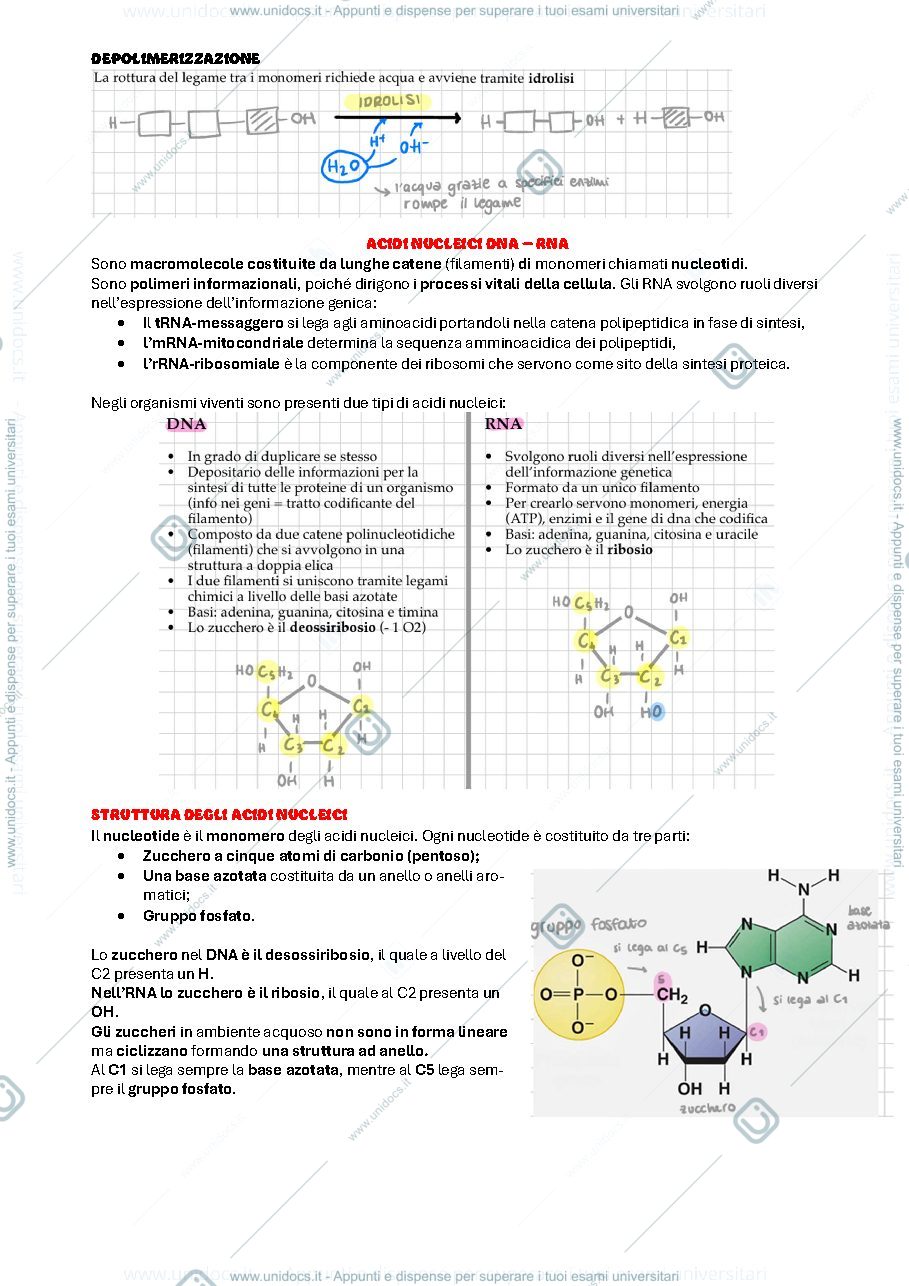 Anteprima pagina 4 — Biologia Cellulare