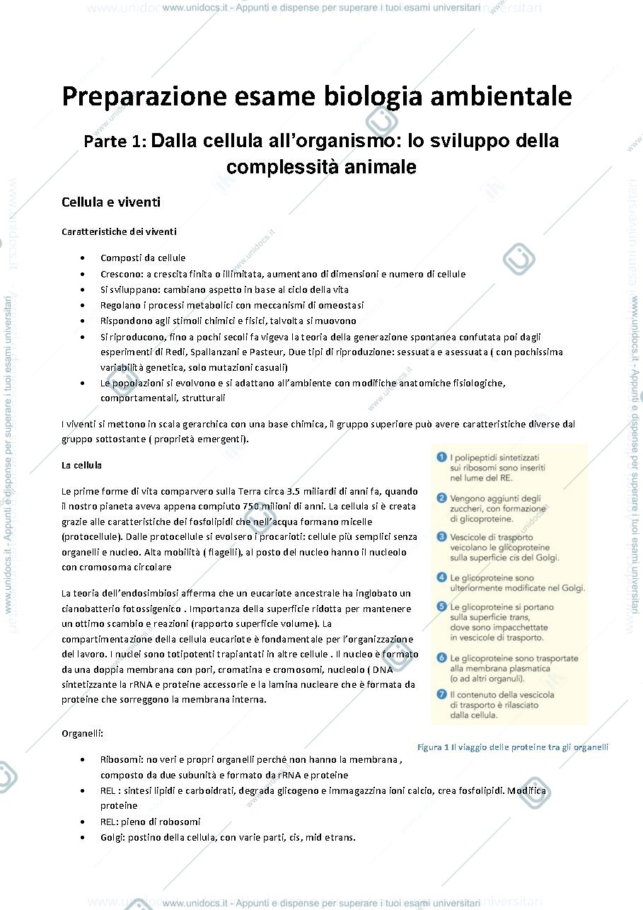 Anteprima pagina 1 — Biologi ambientale applicata