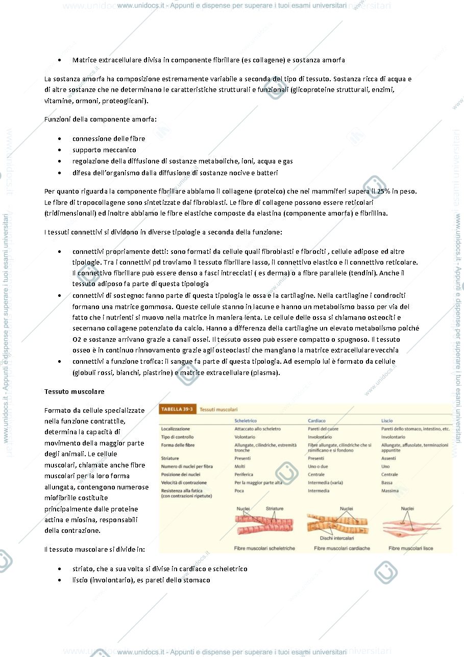 Anteprima pagina 3 — Biologi ambientale applicata