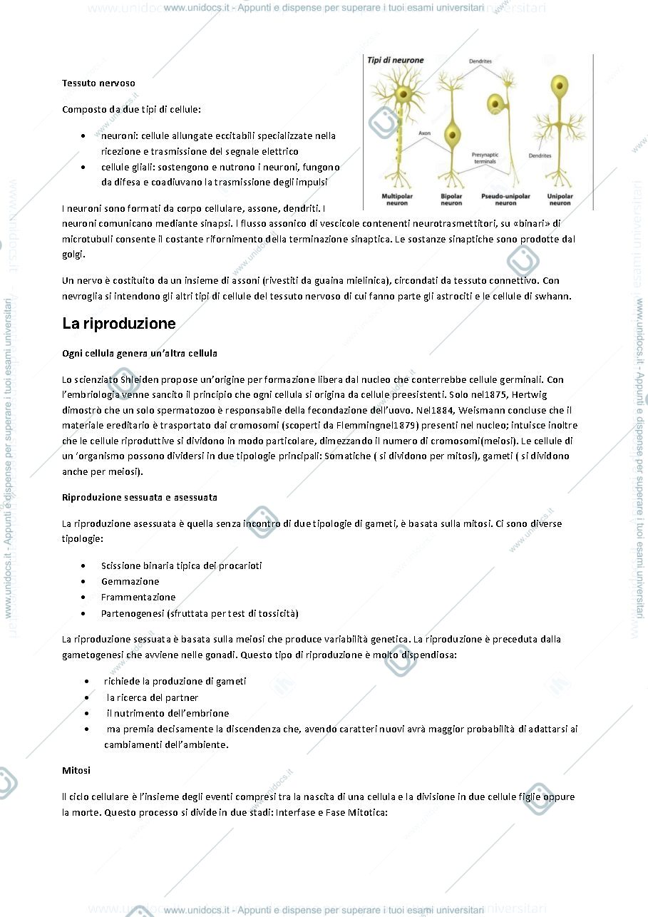 Anteprima pagina 4 — Biologi ambientale applicata