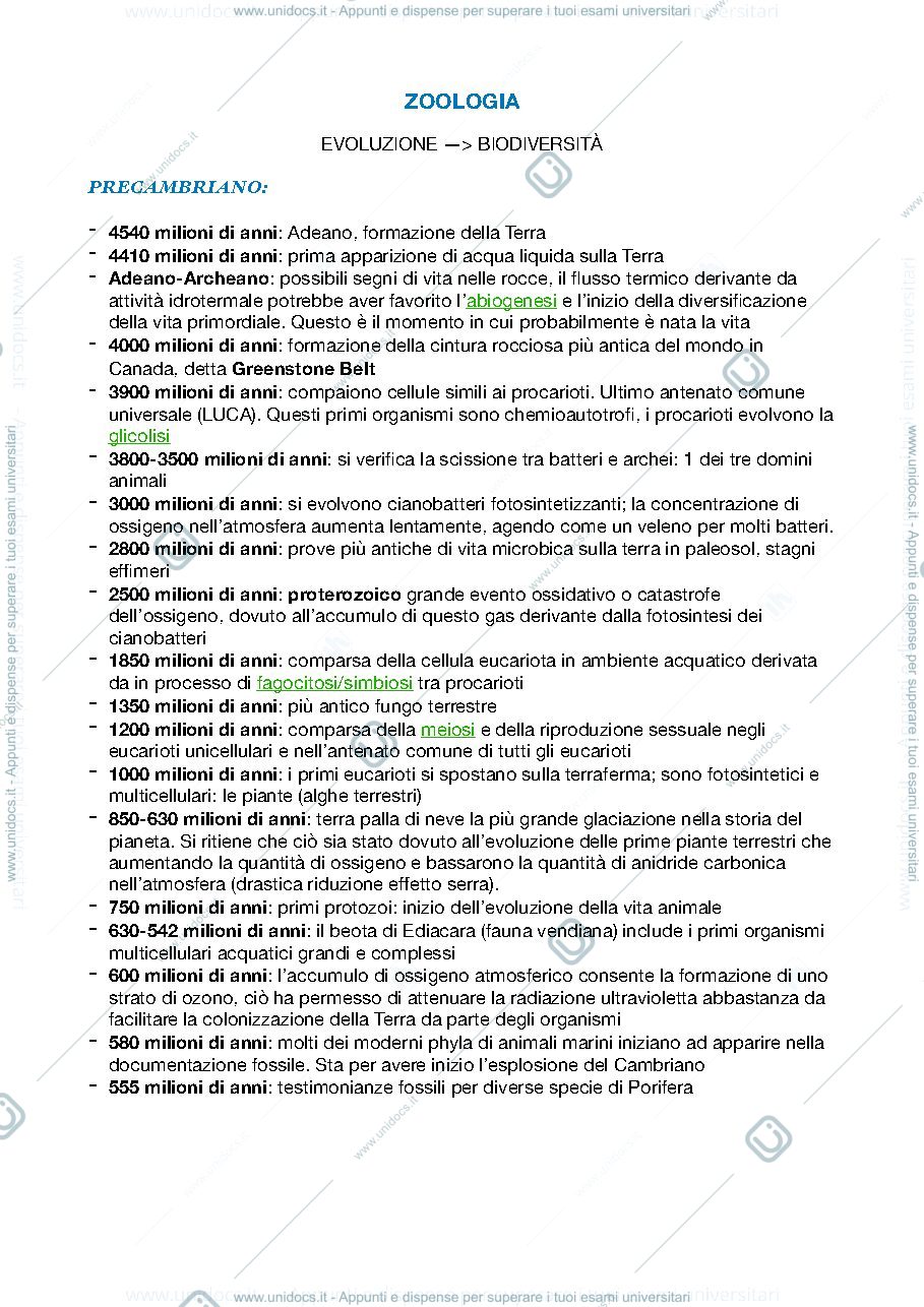 Anteprima pagina 1 — Zoologia