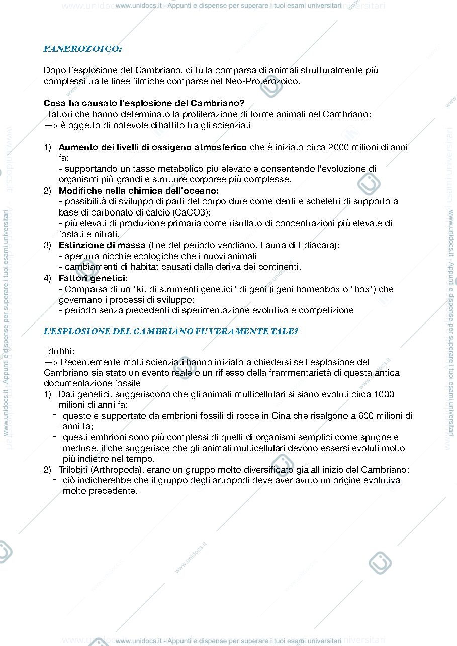 Anteprima pagina 2 — Zoologia