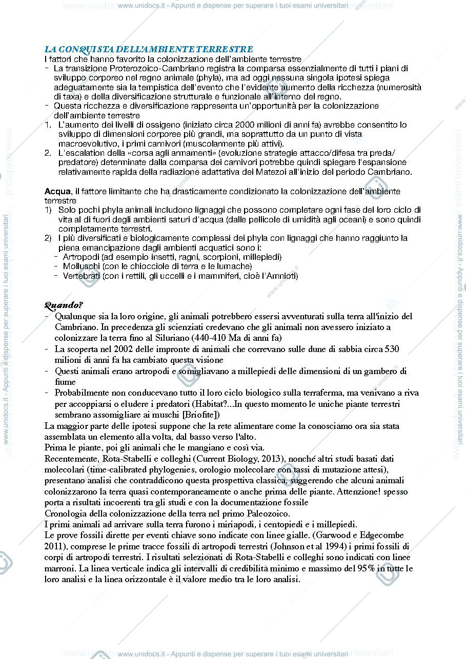 Anteprima pagina 3 — Zoologia