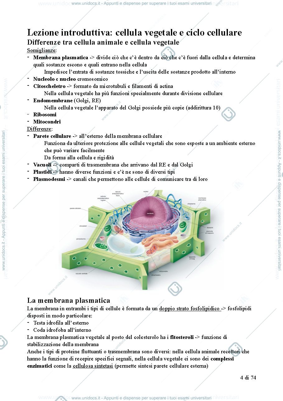 Anteprima pagina 4 — SBOBINA COMPLETA BIOLOGIA VEGETALE CTF