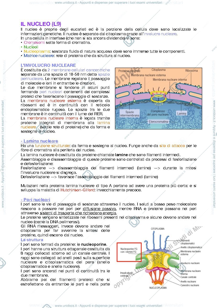 Anteprima pagina 1 — Appunti bio animale