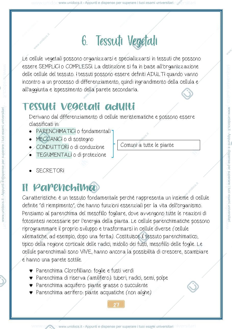Anteprima pagina 1 — Tessuti Vegetali