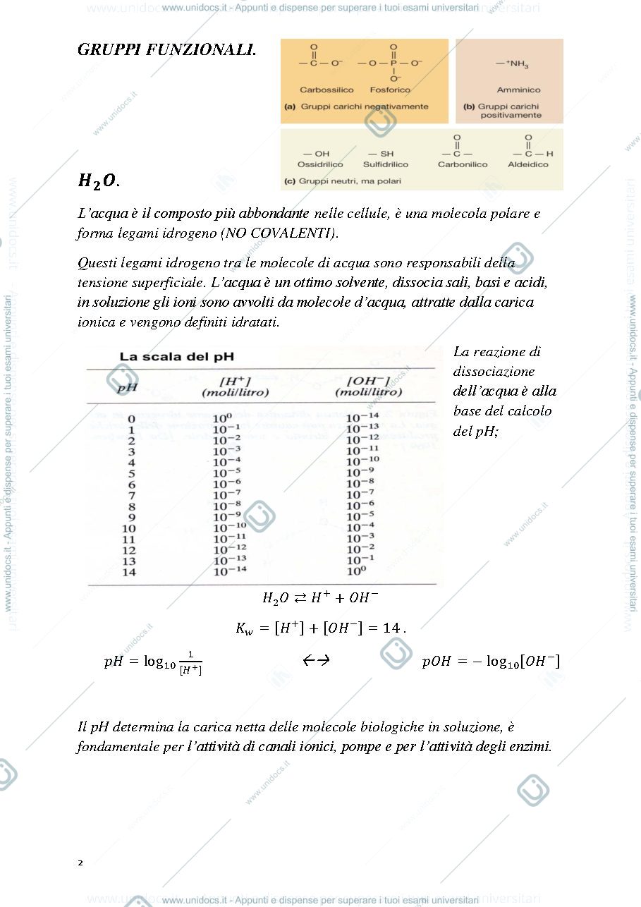 Anteprima pagina 2 — biologia 