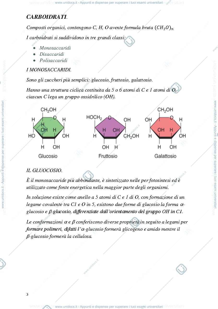 Anteprima pagina 3 — biologia 