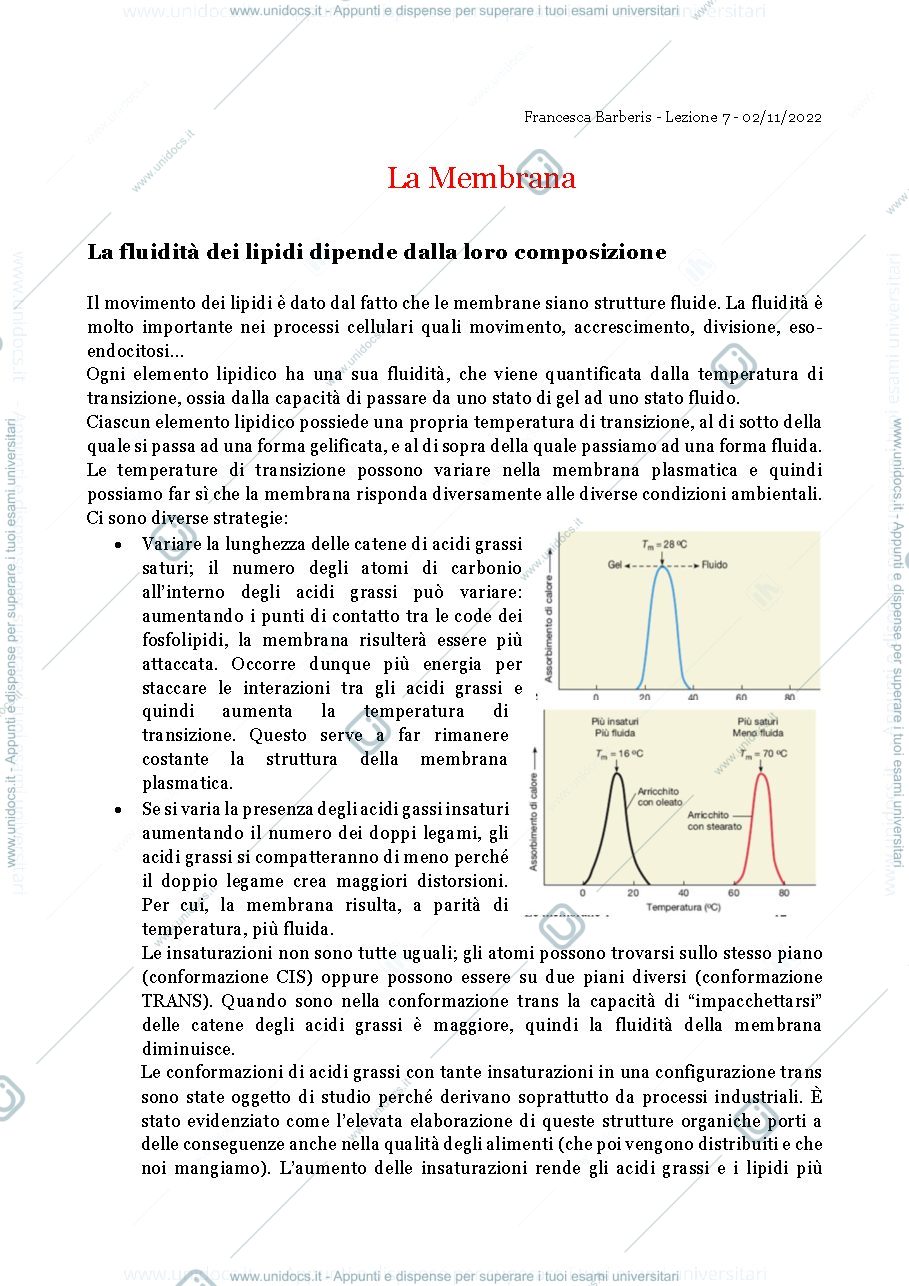 Anteprima pagina 1 — La Membrana