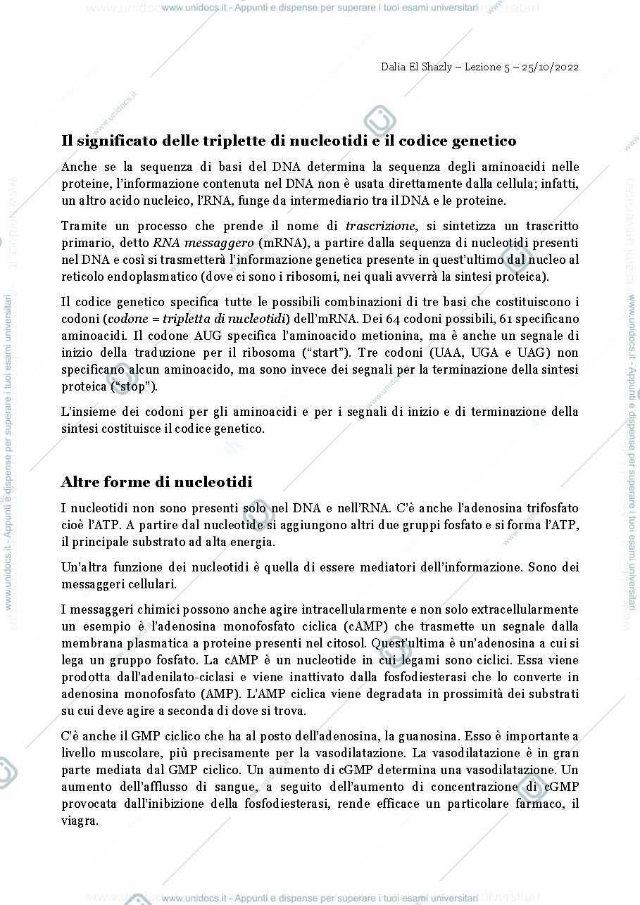 Anteprima pagina 1 — triplette di nucleotidi e il codice genetico
