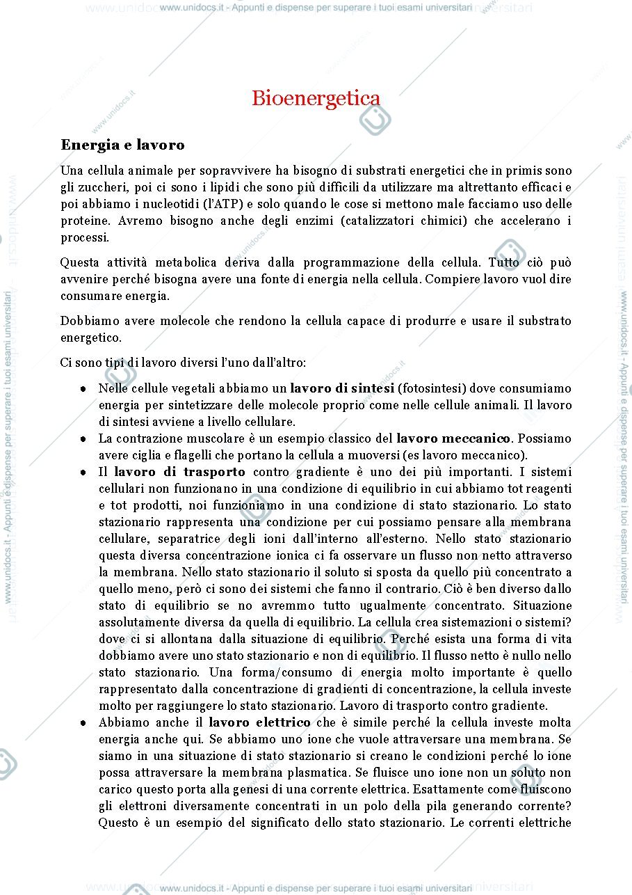 Anteprima pagina 2 — triplette di nucleotidi e il codice genetico