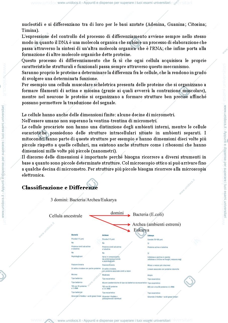 Anteprima pagina 2 — Cellule eucariote e procariote