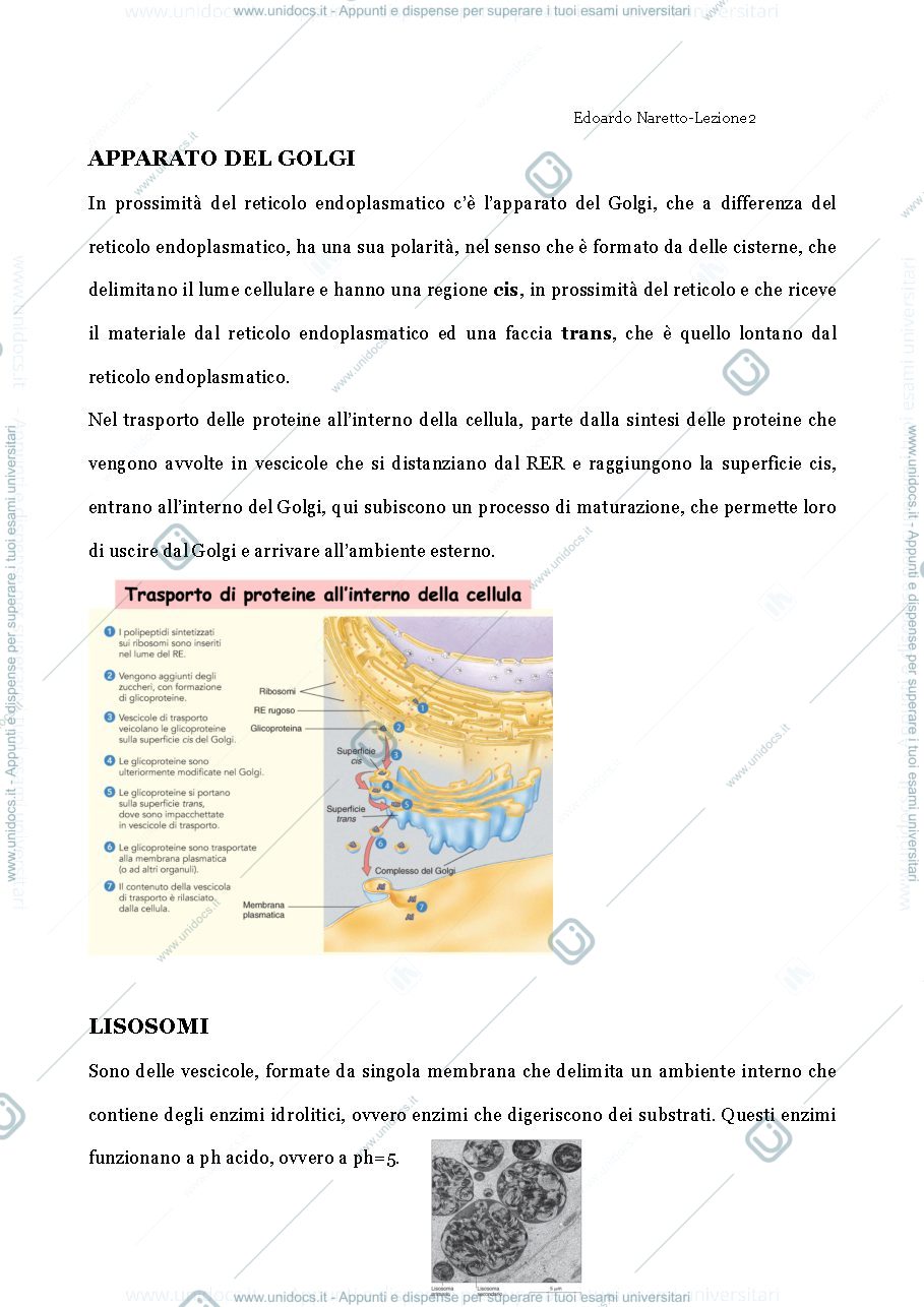 Anteprima pagina 1 — Cellula
