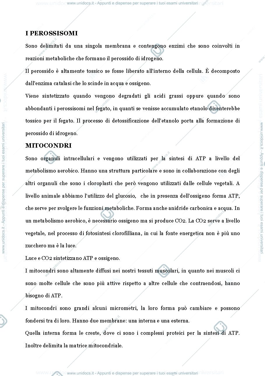 Anteprima pagina 2 — Cellula