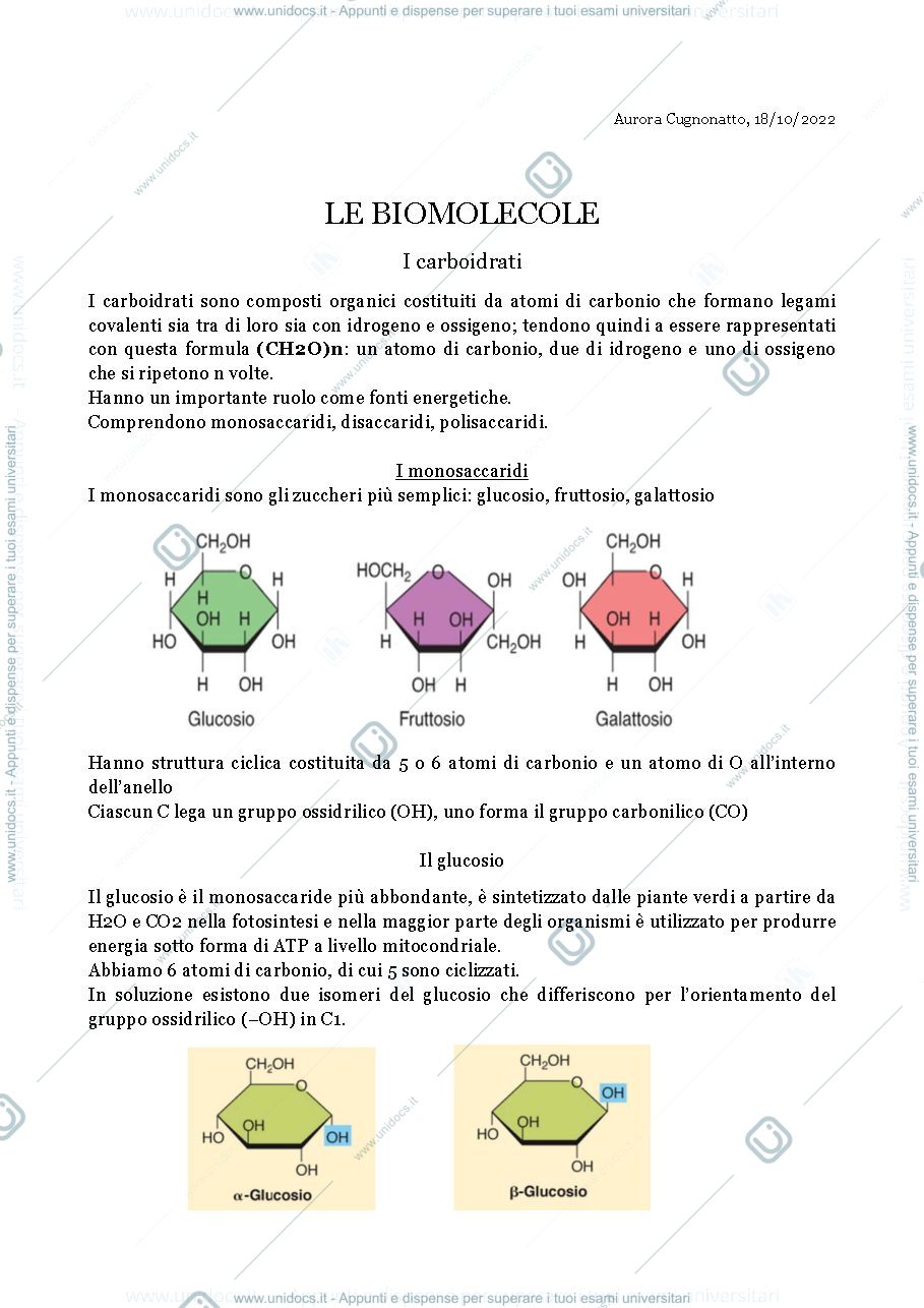 Anteprima pagina 1 — LE BIOMOLECOLE