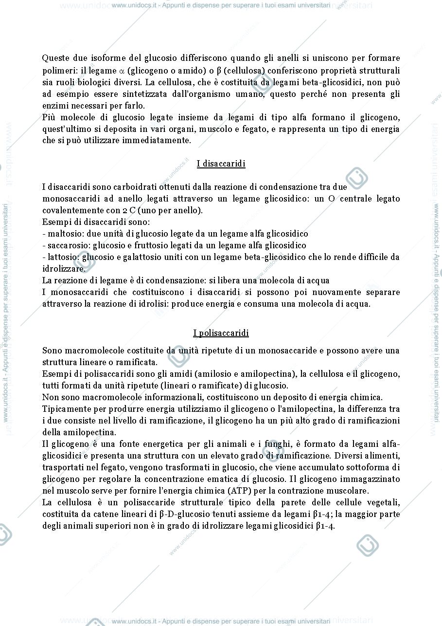 Anteprima pagina 2 — LE BIOMOLECOLE
