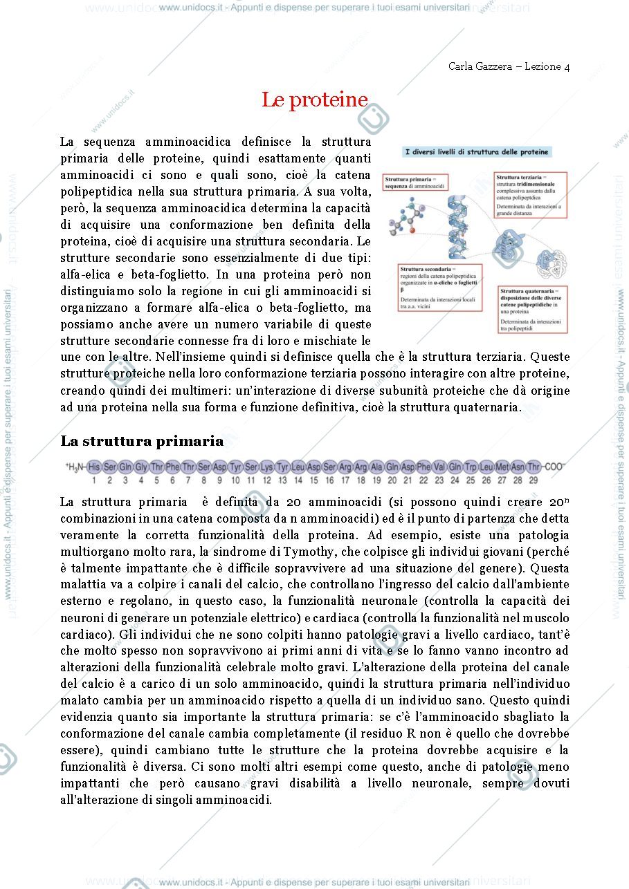 Anteprima pagina 1 — Le proteine 