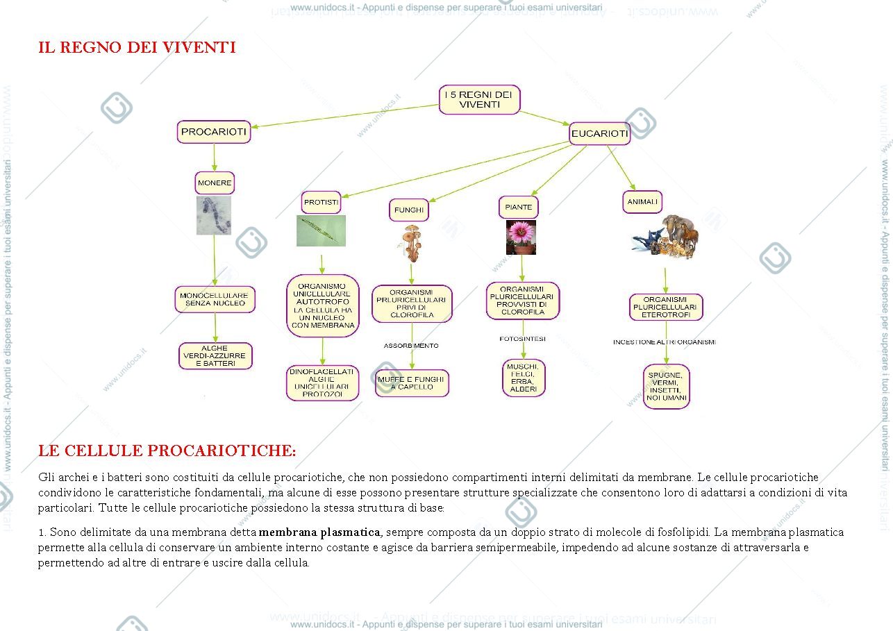 Anteprima pagina 3 — prima parte del corso di biologia