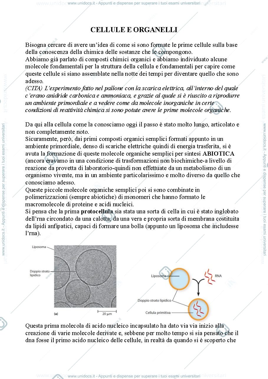 Anteprima pagina 1 —  Biologia, lezione 2