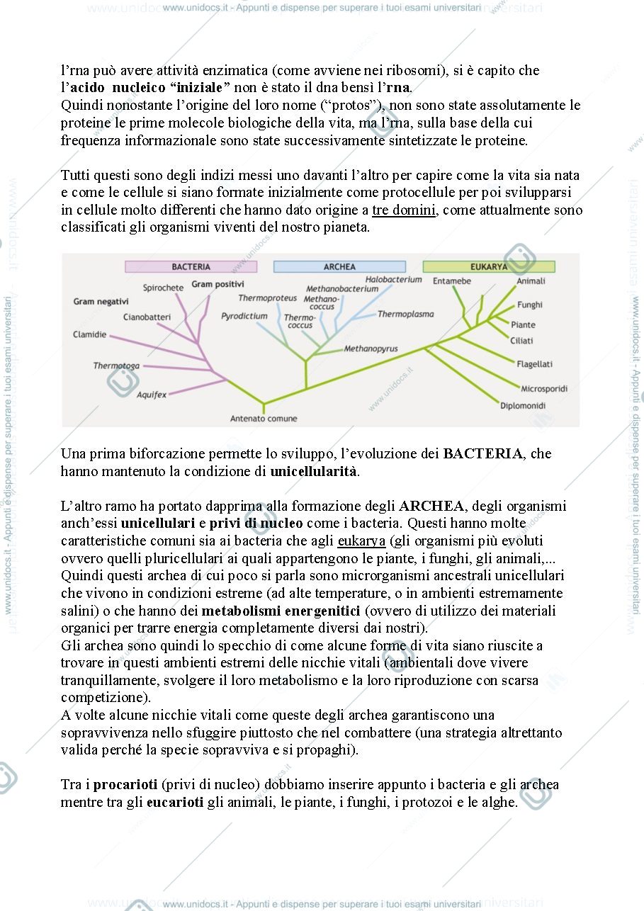 Anteprima pagina 2 —  Biologia, lezione 2