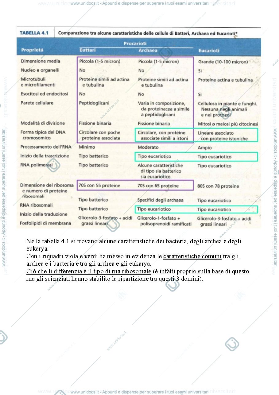 Anteprima pagina 3 —  Biologia, lezione 2