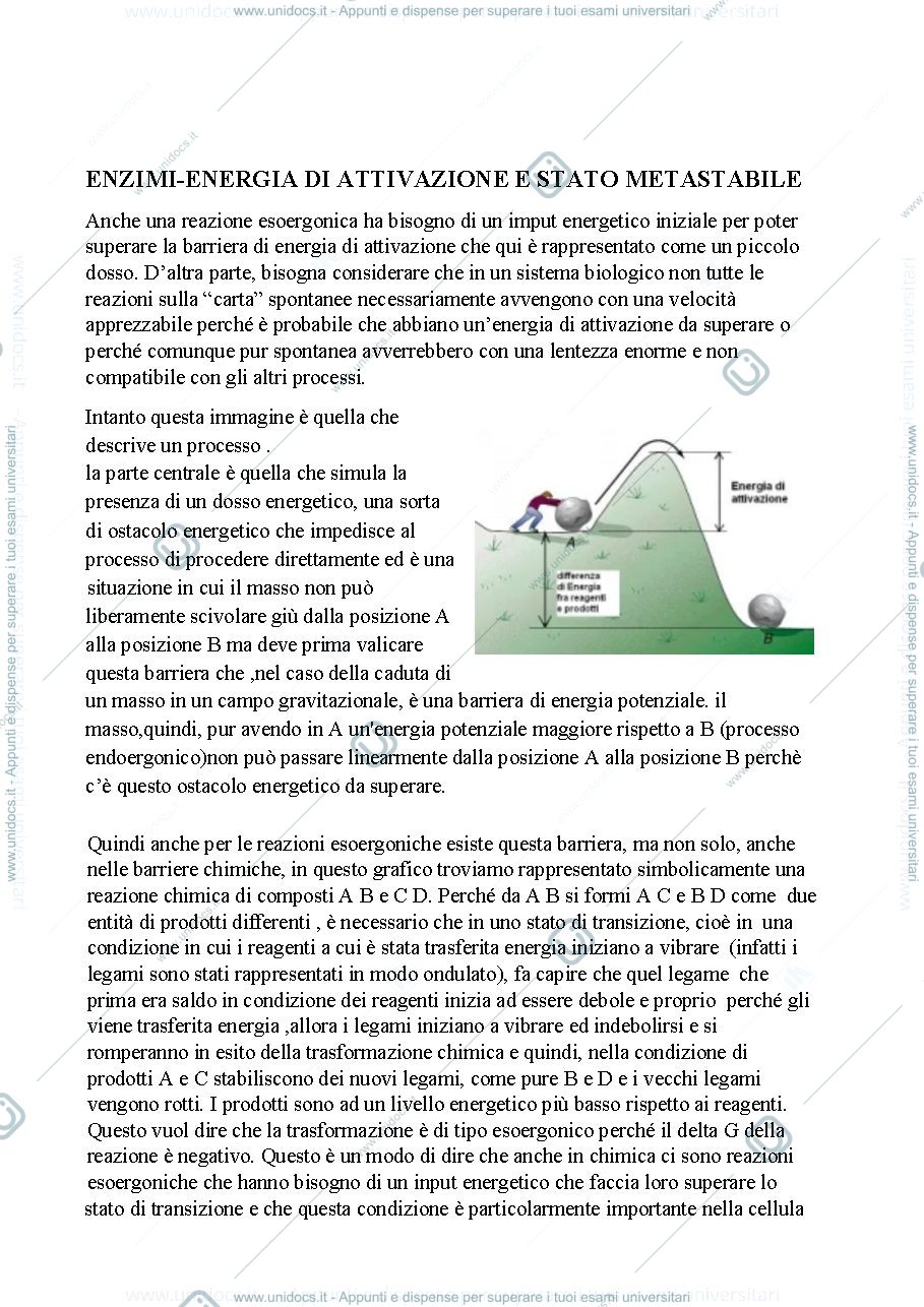 Anteprima pagina 1 —  Biologia, lezione 5- GLI ENZIMI
