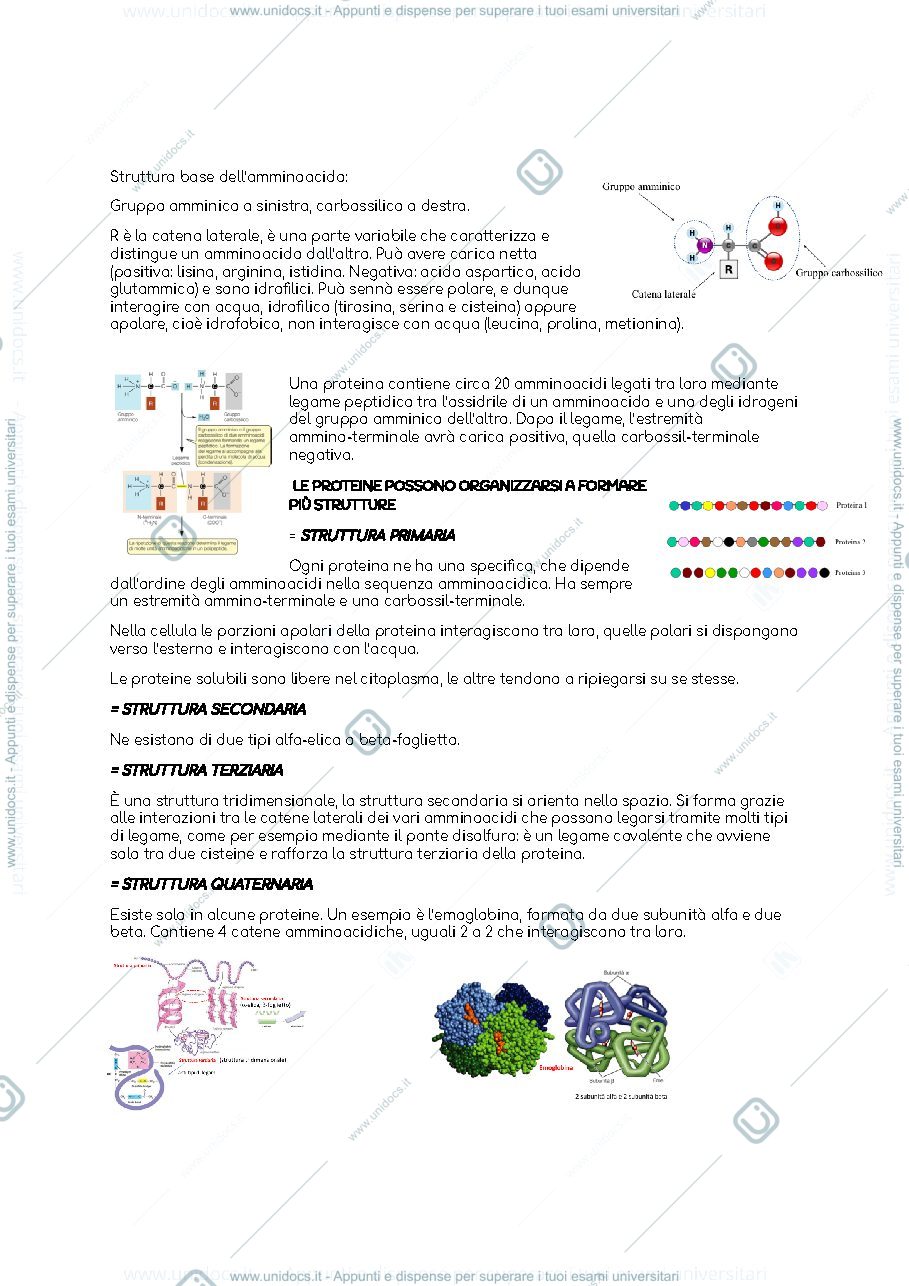 Anteprima pagina 2 — Sbobine biologia animale 