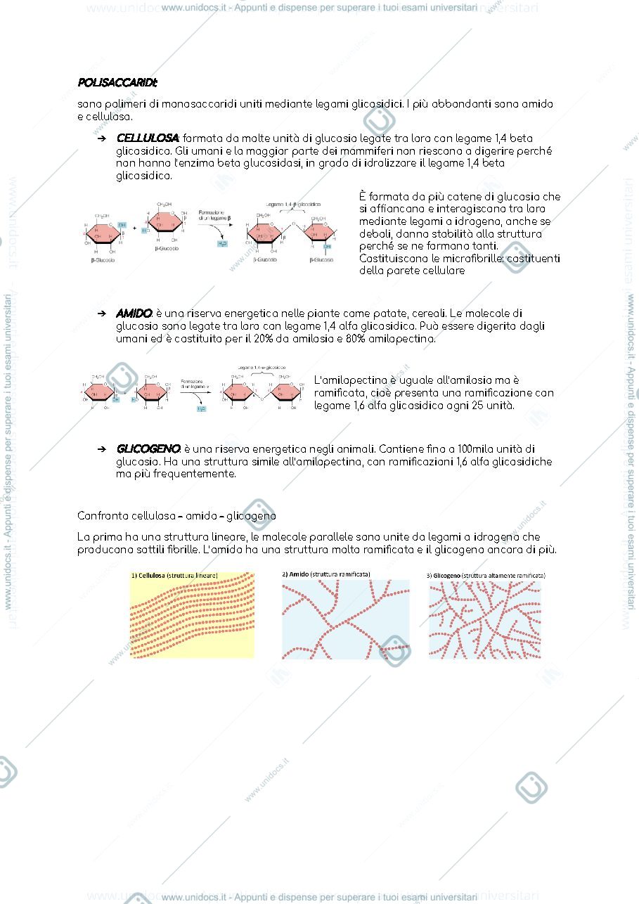 Anteprima pagina 4 — Sbobine biologia animale 