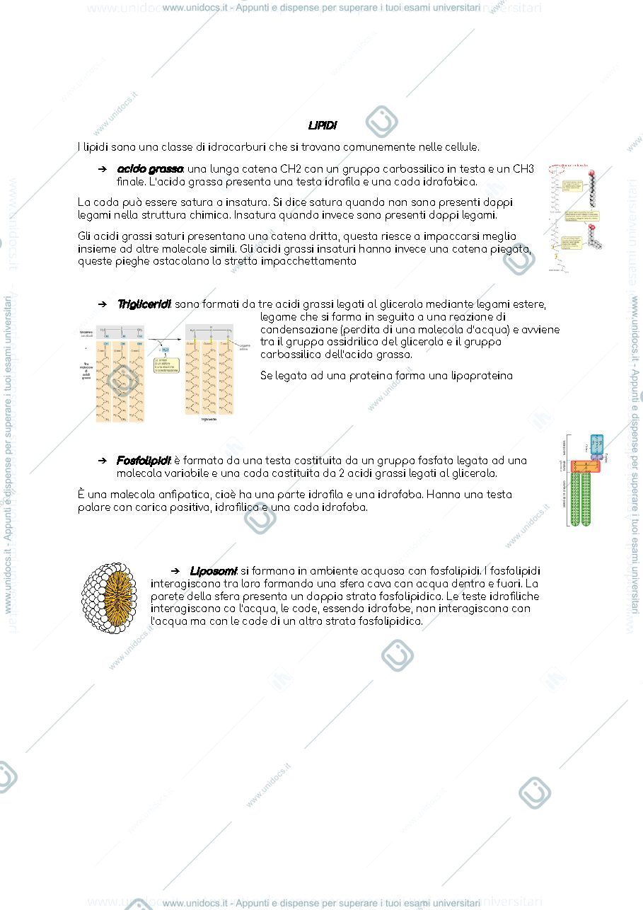Anteprima pagina 5 — Sbobine biologia animale 