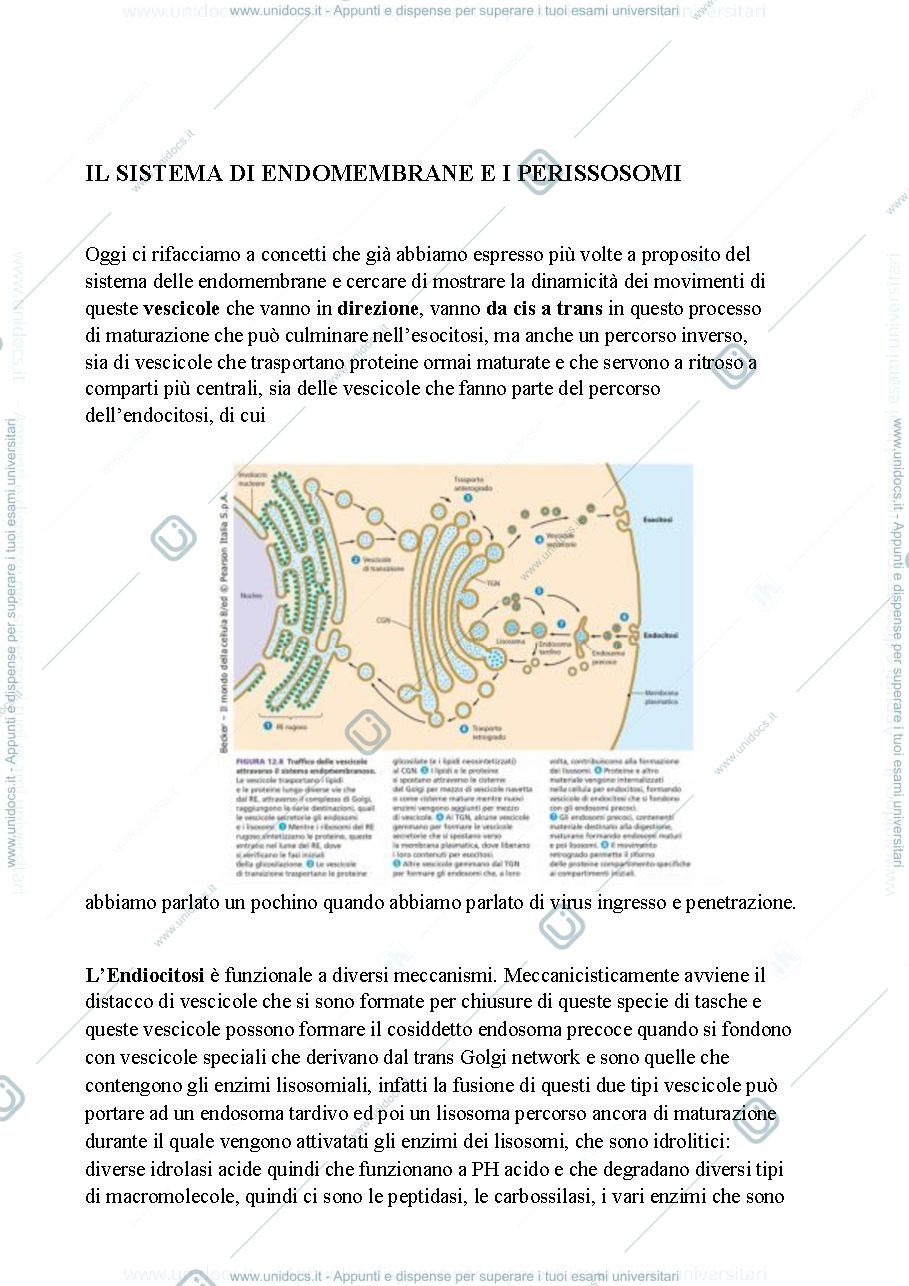 Anteprima pagina 1 — Biologia, lezione 9- ORGANULI CELLULARI