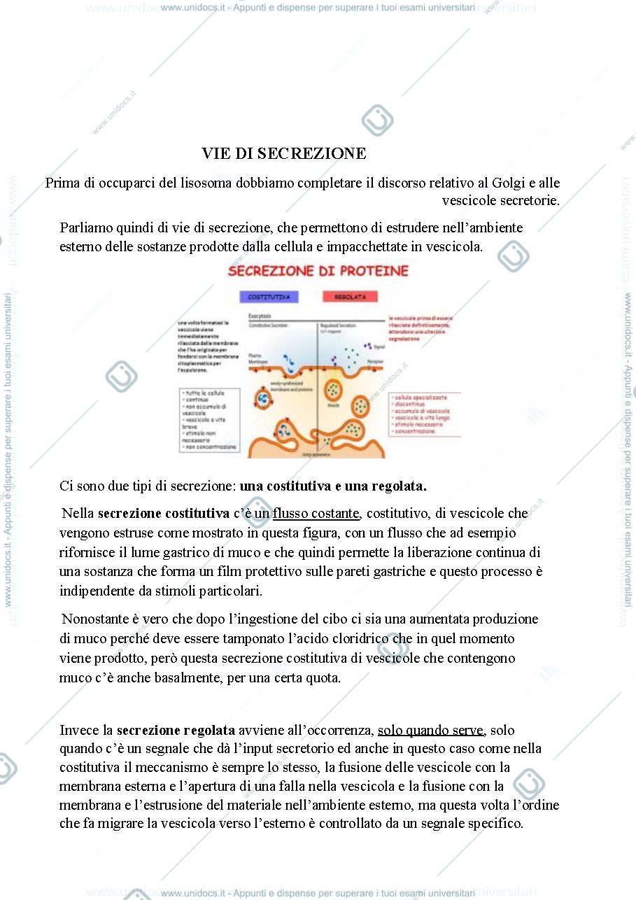 Anteprima pagina 3 — Biologia, lezione 9- ORGANULI CELLULARI