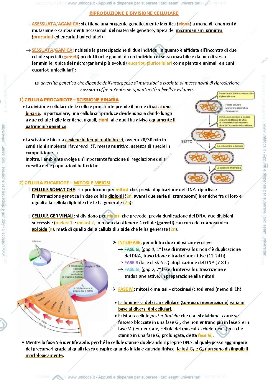 Anteprima pagina 1 — Biologia animale e vegetale