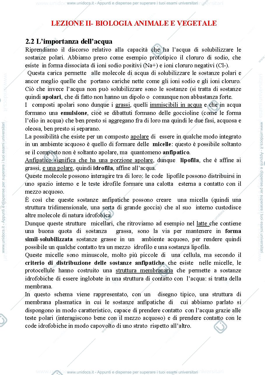 Anteprima pagina 1 — Biologia, lezione 2