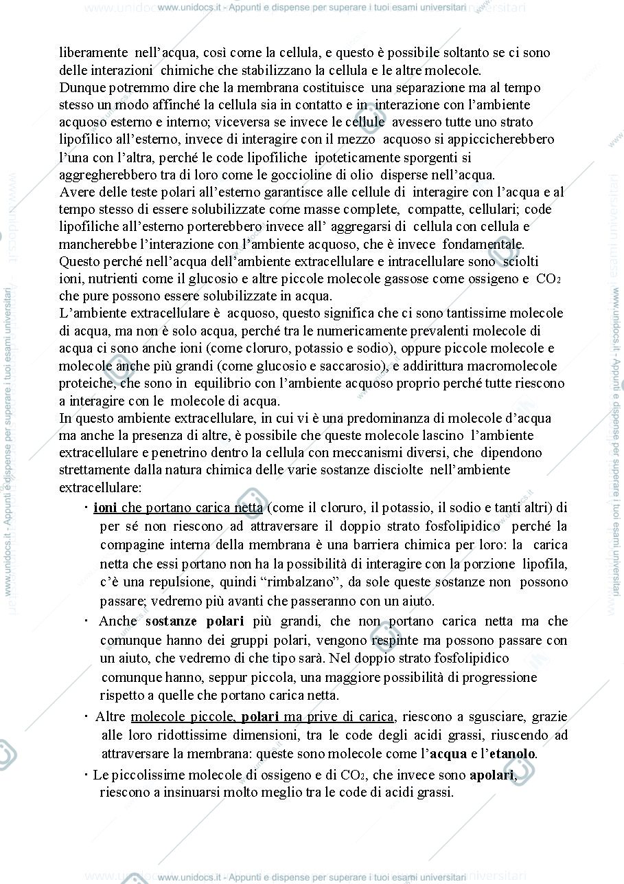 Anteprima pagina 3 — Biologia, lezione 2