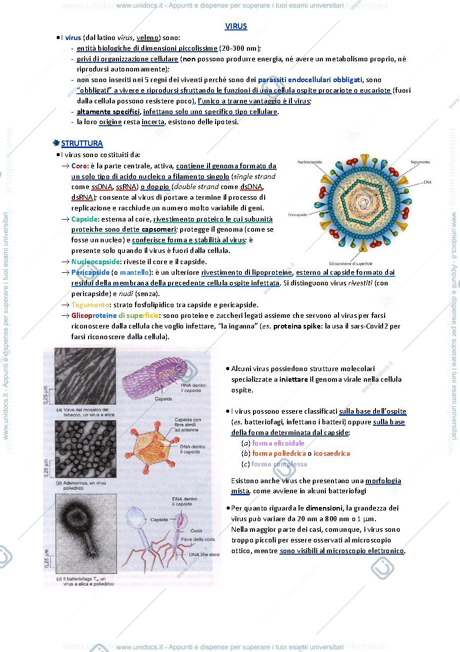 Anteprima pagina 1 — Biologia animale e vegetale